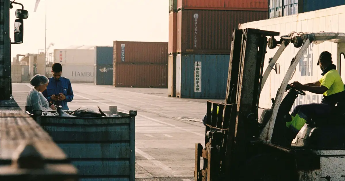 Forklift unloading a shipping container at a port yard